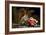 Listen!-Andre Villeneuve-Framed Photographic Print