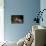 Listen!-Andre Villeneuve-Mounted Photographic Print displayed on a wall