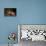 Listen!-Andre Villeneuve-Mounted Photographic Print displayed on a wall