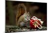 Listen!-Andre Villeneuve-Mounted Photographic Print