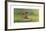 Listening to the Birds-Winslow Homer-Framed Premium Giclee Print