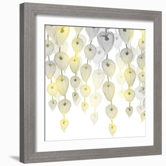 Lit Lantern Cascade 2-Albert Koetsier-Framed Photographic Print