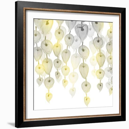 Lit Lantern Cascade 2-Albert Koetsier-Framed Photographic Print