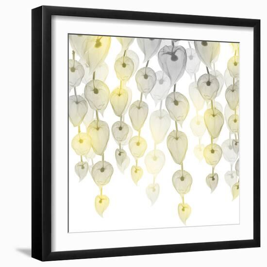 Lit Lantern Cascade 2-Albert Koetsier-Framed Photographic Print