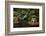 Lit Pagoda, Portland Japanese Garden, Portland, Oregon, USA, Pr-Michel Hersen-Framed Photographic Print