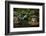 Lit Pagoda, Portland Japanese Garden, Portland, Oregon, USA, Pr-Michel Hersen-Framed Photographic Print