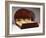 Lit Soleil Bed in Macassar Ebony, 1923-Emile Jacques Ruhlmann-Framed Giclee Print