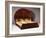 Lit Soleil Bed in Macassar Ebony, 1923-Emile Jacques Ruhlmann-Framed Giclee Print