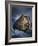 Literary Ark, Conceptual Artwork-SMETEK-Framed Photographic Print