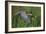 Lithe Flight-Staffan Widstrand-Framed Giclee Print