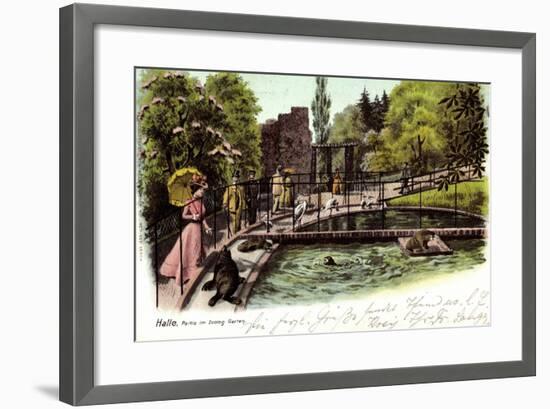 Litho Halle Saale, Partie Im Zoologischen Garten, Seehunde, Reiher-null-Framed Giclee Print