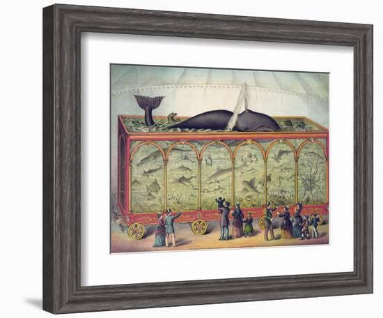 Lithograph of 19th Century Traveling Aquarium-null-Framed Giclee Print