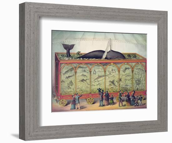 Lithograph of 19th Century Traveling Aquarium-null-Framed Giclee Print