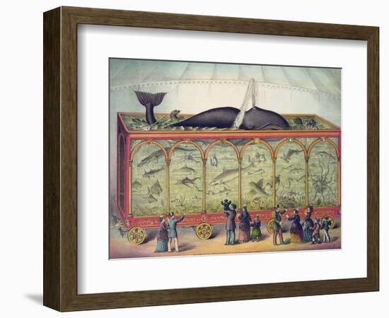 Lithograph of 19th Century Traveling Aquarium-null-Framed Giclee Print