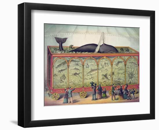 Lithograph of 19th Century Traveling Aquarium--Framed Giclee Print