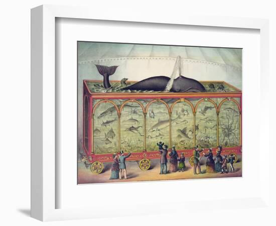 Lithograph of 19th Century Traveling Aquarium-null-Framed Giclee Print