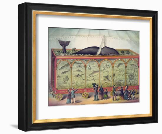 Lithograph of 19th Century Traveling Aquarium-null-Framed Giclee Print