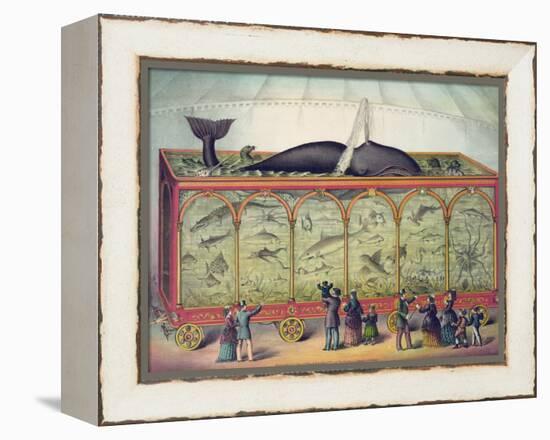 Lithograph of 19th Century Traveling Aquarium-null-Framed Premier Image Canvas