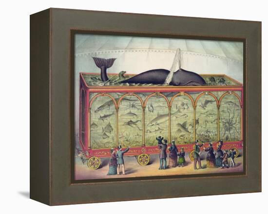 Lithograph of 19th Century Traveling Aquarium-null-Framed Premier Image Canvas