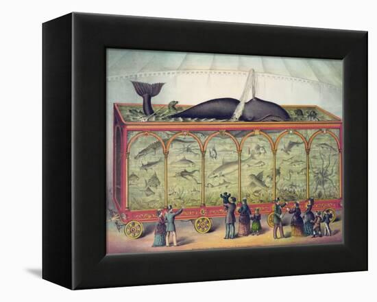 Lithograph of 19th Century Traveling Aquarium-null-Framed Premier Image Canvas