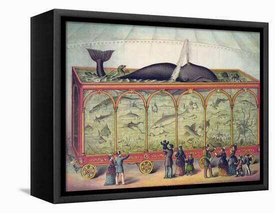 Lithograph of 19th Century Traveling Aquarium-null-Framed Premier Image Canvas