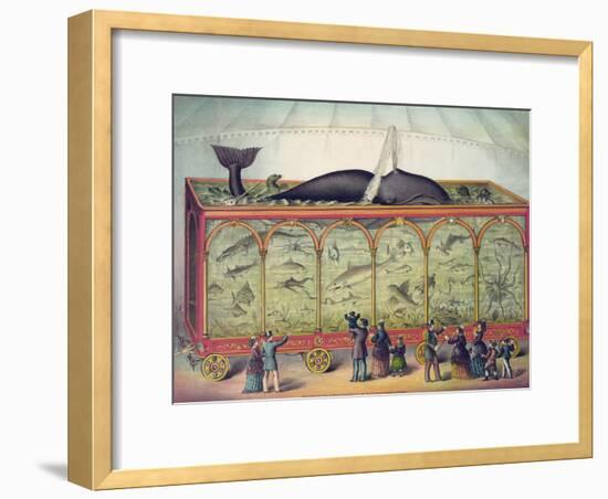 Lithograph of 19th Century Traveling Aquarium-null-Framed Giclee Print