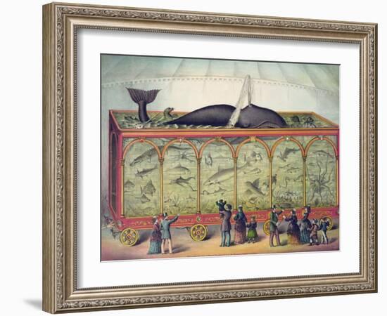 Lithograph of 19th Century Traveling Aquarium-null-Framed Giclee Print