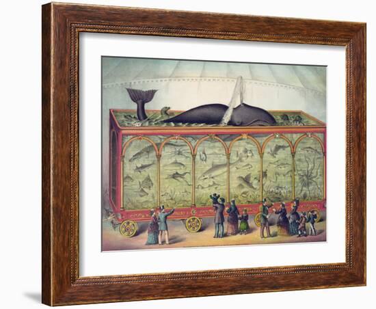 Lithograph of 19th Century Traveling Aquarium-null-Framed Giclee Print