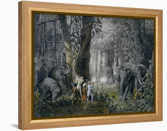 Lithograph of an Elephant Hunt After Graf Andrasy-Stapleton Collection-Framed Premier Image Canvas