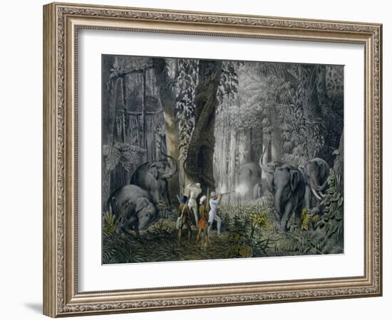 Lithograph of an Elephant Hunt After Graf Andrasy-Stapleton Collection-Framed Giclee Print