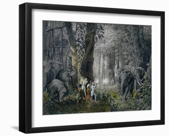Lithograph of an Elephant Hunt After Graf Andrasy-Stapleton Collection-Framed Giclee Print