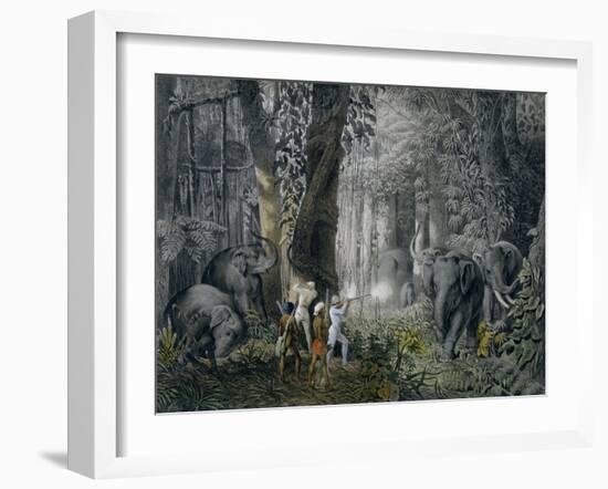 Lithograph of an Elephant Hunt After Graf Andrasy-Stapleton Collection-Framed Giclee Print