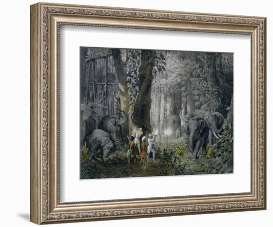 Lithograph of an Elephant Hunt After Graf Andrasy-Stapleton Collection-Framed Giclee Print