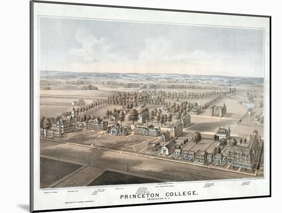 Lithograph of Princeton College-null-Mounted Giclee Print