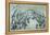 Lithograph of the Coronation of General Faustin Soulouque as Emperor of Haiti-null-Framed Premier Image Canvas