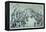 Lithograph of the Coronation of General Faustin Soulouque as Emperor of Haiti-null-Framed Premier Image Canvas