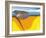 Lithosphere, Artwork-Jose Antonio-Framed Photographic Print