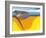 Lithosphere, Artwork-Jose Antonio-Framed Photographic Print