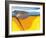 Lithosphere, Artwork-Jose Antonio-Framed Photographic Print