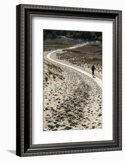 Lithuania, Curonian Spit, Perwalka, Drifting Sand Dune, Path-Catharina Lux-Framed Photographic Print