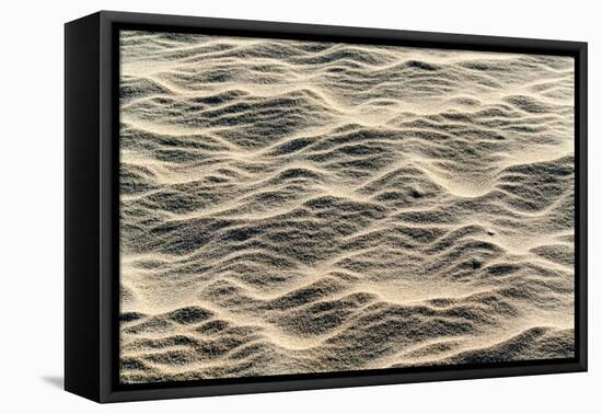 Lithuania, Curonian Spit, Perwalka, Drifting Sand Dune, Sand Structure-Catharina Lux-Framed Premier Image Canvas