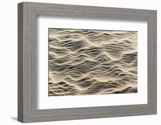 Lithuania, Curonian Spit, Perwalka, Drifting Sand Dune, Sand Structure-Catharina Lux-Framed Photographic Print