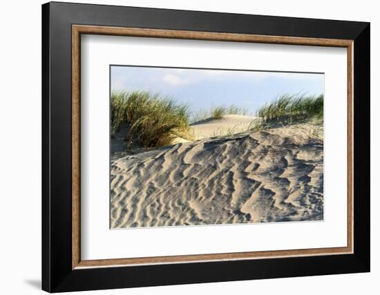 Lithuania, Curonian Spit, Perwalka, Drifting Sand Dune-Catharina Lux-Framed Photographic Print