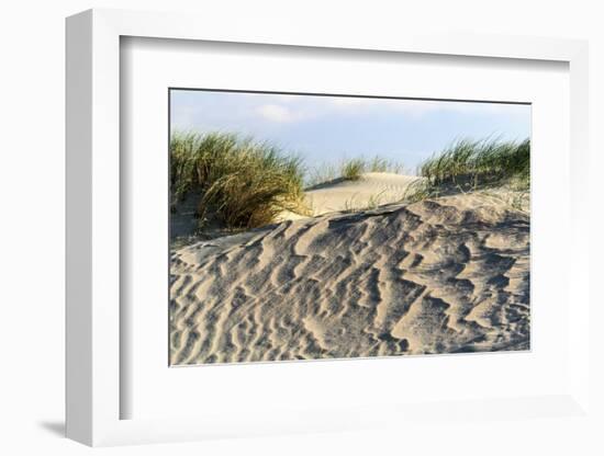 Lithuania, Curonian Spit, Perwalka, Drifting Sand Dune-Catharina Lux-Framed Photographic Print