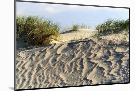 Lithuania, Curonian Spit, Perwalka, Drifting Sand Dune-Catharina Lux-Mounted Photographic Print