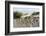 Lithuania, Curonian Spit, Perwalka, Drifting Sand Dune-Catharina Lux-Framed Photographic Print