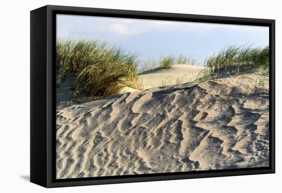 Lithuania, Curonian Spit, Perwalka, Drifting Sand Dune-Catharina Lux-Framed Premier Image Canvas