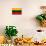 Lithuania Flag Design with Wood Patterning - Flags of the World Series-Philippe Hugonnard-Art Print displayed on a wall