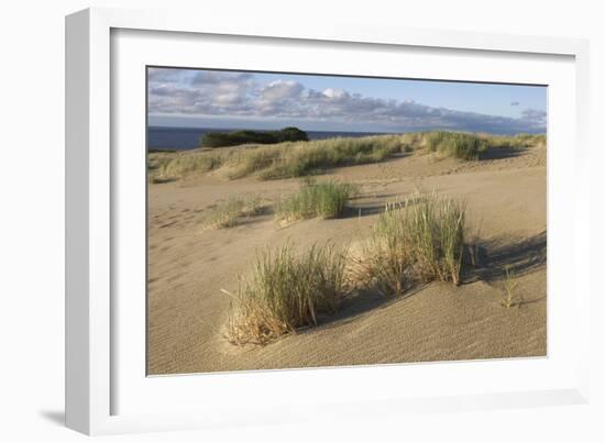 Lithuania, Klaipeda County, Curonian Spit, Beach-null-Framed Giclee Print