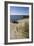 Lithuania, Klaipeda County, Curonian Spit, Vecekrugas, Grey Dune-null-Framed Giclee Print